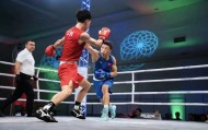 2026世界拳联世界杯首度落地中国，6月15日贵阳“小巨蛋”鸣锣开赛|拳击|赛事|拳手|跆拳道|弗林特_新浪体育_新浪新闻